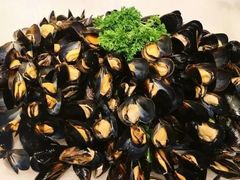 -比尔森韩式烤肉自助(绿园店)