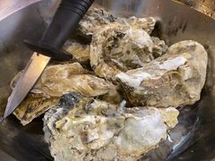 -爱蚝屋