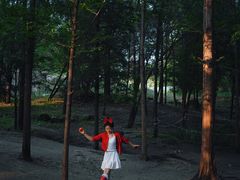 -白水寺森林公园