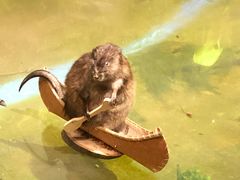 -陕西自然博物馆