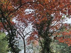 -白马涧龙池景区