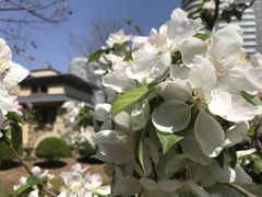 -首都医科大学附属北京天坛医院