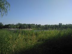 -永定河休闲森林公园