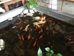-山有花啡餐厅(常营总店)