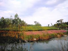 -天府芙蓉园