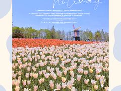 -北京国际鲜花港