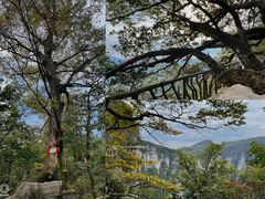 -张家界天门山国家森林公园