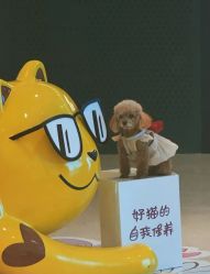 -丽妍雅集 Rubis SPA