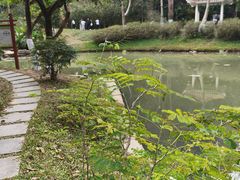 -火炉山森林公园