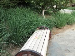 -元大都城垣遗址公园