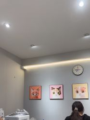 -洗脸猫·洗脸吧