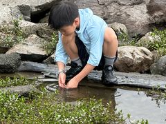 -宝安西湾红树林湿地公园