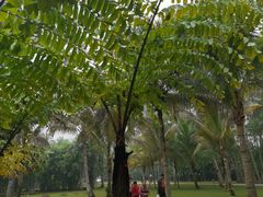 -中国科学院西双版纳热带植物园