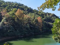 -广州市石门国家森林公园