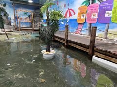 -嘉兴海底世界