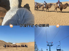 -银肯塔拉沙漠生态旅游景区