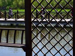 -溱湖国家湿地公园