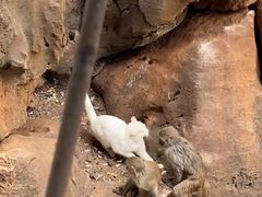-昆明动物园