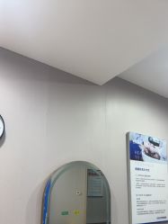 -碧莲盛不剃发植发