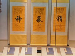 -广东中医药博物馆