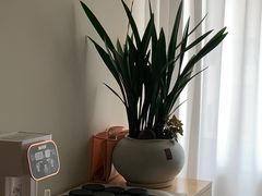 -瑶舍头疗·瑶浴·芳香热石SPA(五洲国际店)