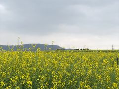 -光明小镇欢乐田园