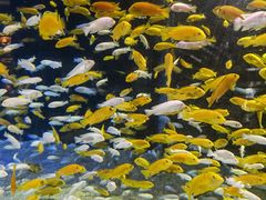 -成都浩海立方海洋公园