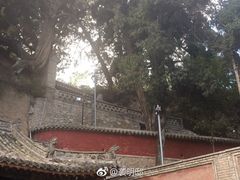 -玉泉观