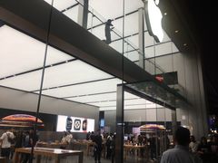 -Apple零售店(成都太古里店)