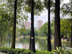 -晓港公园