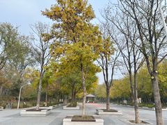 -绿堤公园