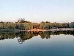 -大兴滨河森林公园