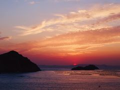 -枸杞岛