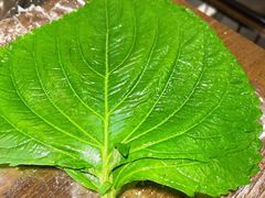 苏子叶-新石器烤肉(中房金谊广场店)