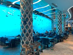-瑞德姆美人鱼海底演艺主题餐厅(亚龙湾店)