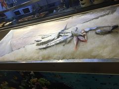 -金穗园·砂锅粥.醉鸡煲火锅(长寿路店)