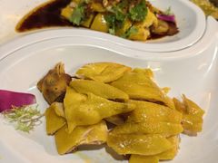 -食德喜·阳山鸡王食研基地