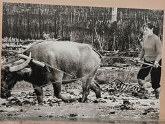 -中国客家博物馆