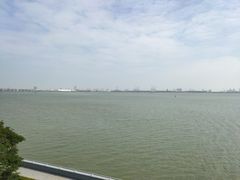 -大湾区中央湿地公园