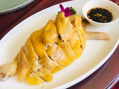 -碧丽宫大酒店(召稼楼店)