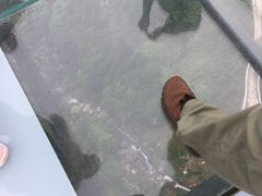 -梦幻奥陶纪景区