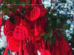 -温州乐园