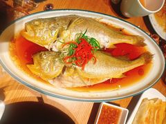 油泼黄花鱼-波螺油子·海肠捞饭·青岛菜(市南银座店)