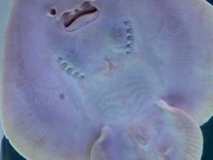 -欢乐海岸海洋奇梦馆