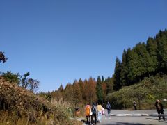 -山王坪喀斯特国家生态公园