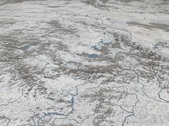 -中国湿地博物馆