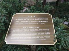 -杭州黄龙洞