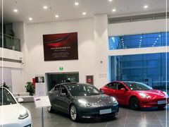 -TESLA 特斯拉(北京南四环中路特斯拉中心)