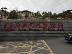 -青藏高原野生动物园