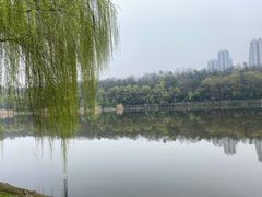 -月湖风景区